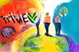 What Exactly Does Being “Trauma-Informed” Mean? 
