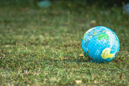 Picture of a globe on a field on grass