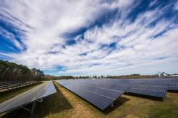 Finding Harmony: Innovative Paths for a Sustainable Future