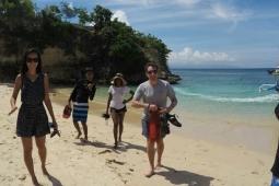 Swimming with Sharks and for Sharks