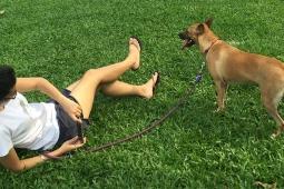 Love at a Dog Shelter