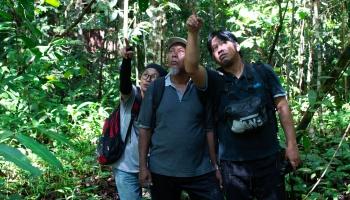 Protecting Kinabatangan