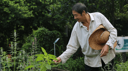 The one way this Singapore gardener knows to help