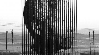 Mandela can't do it all