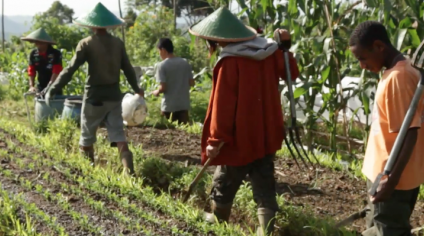 A farm for people