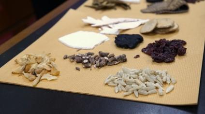 Traditional Chinese Medicinal Herbs