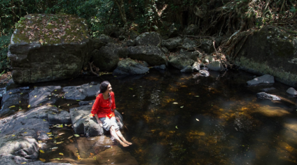 Experiences and Retreats