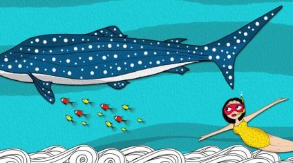 When you see a whale shark