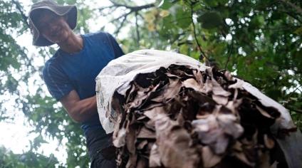 Wild About Gardening: The Green Volunteers of Pasir Ris