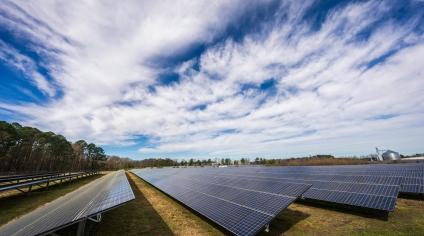 Finding Harmony: Innovative Paths for a Sustainable Future