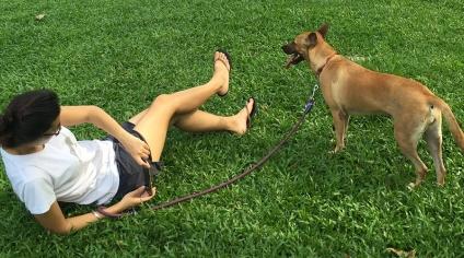 Love at a Dog Shelter