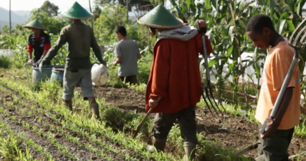 The Learning Farm: A farm for people