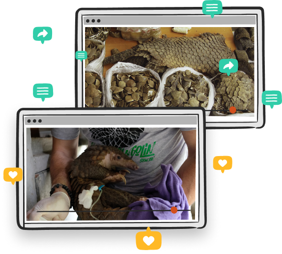 As the most trafficked mammal on the planet, pangolins face the threat of extinction. Save Vietnam’s Wildlife protects, rescues and rehabilitates pangolins so that these prehistoric creatures do not have to be history