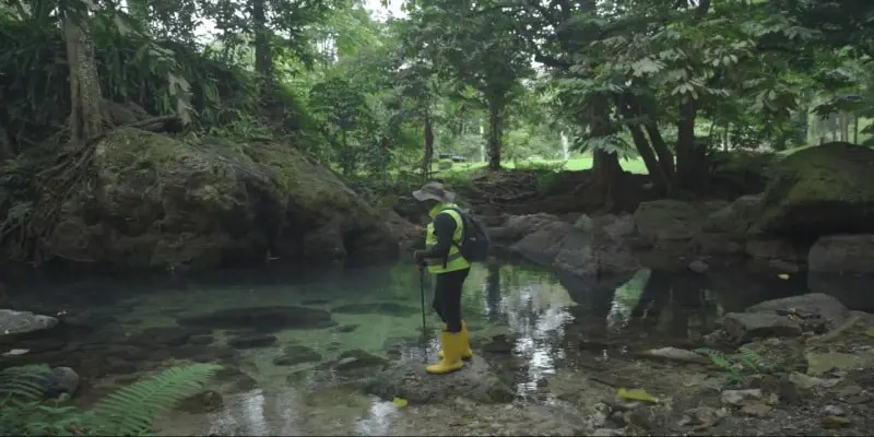 Reviving a River Reviving a River