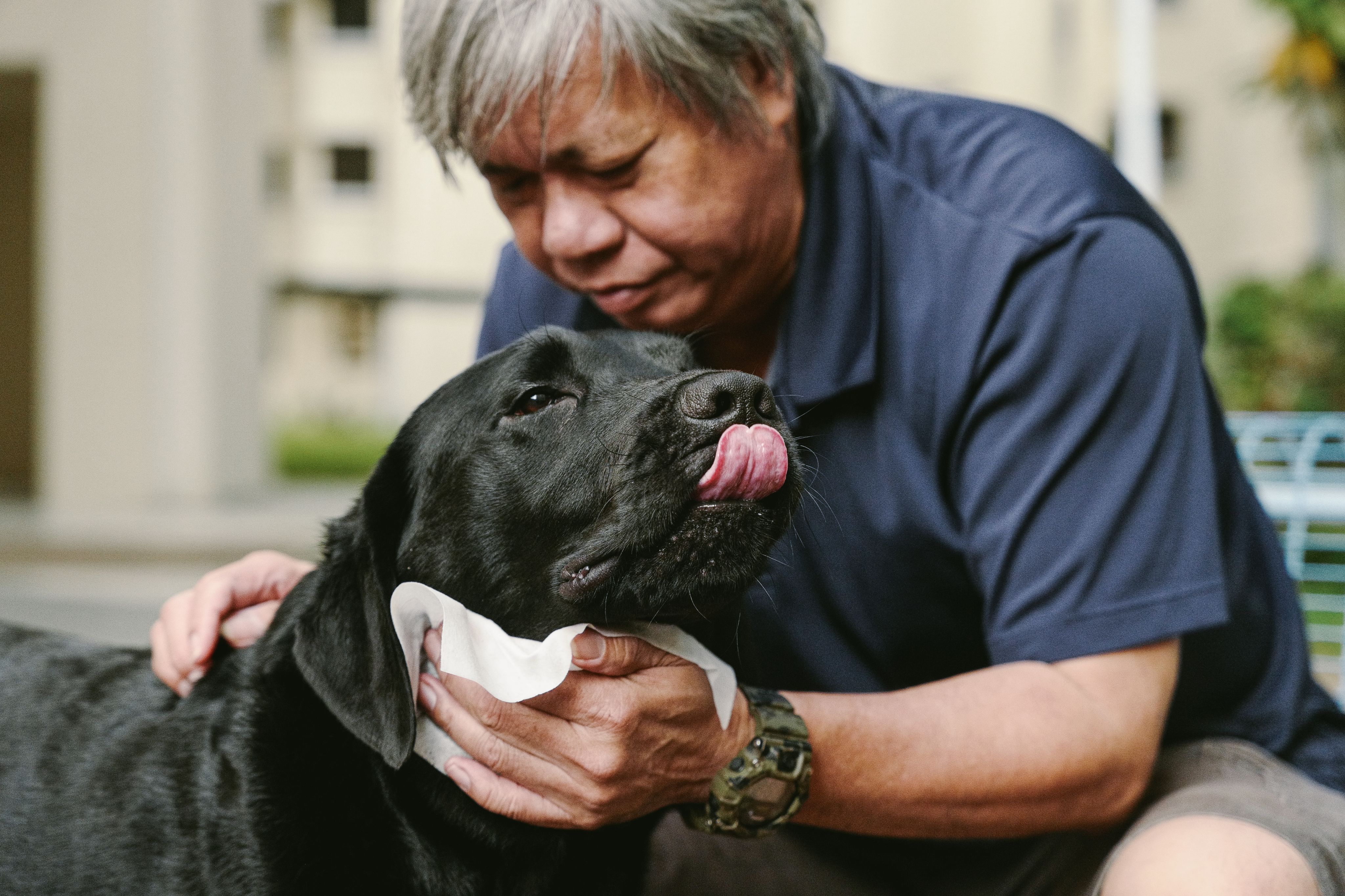 Gary Lim performs Matt's daily grooming routine in the park.