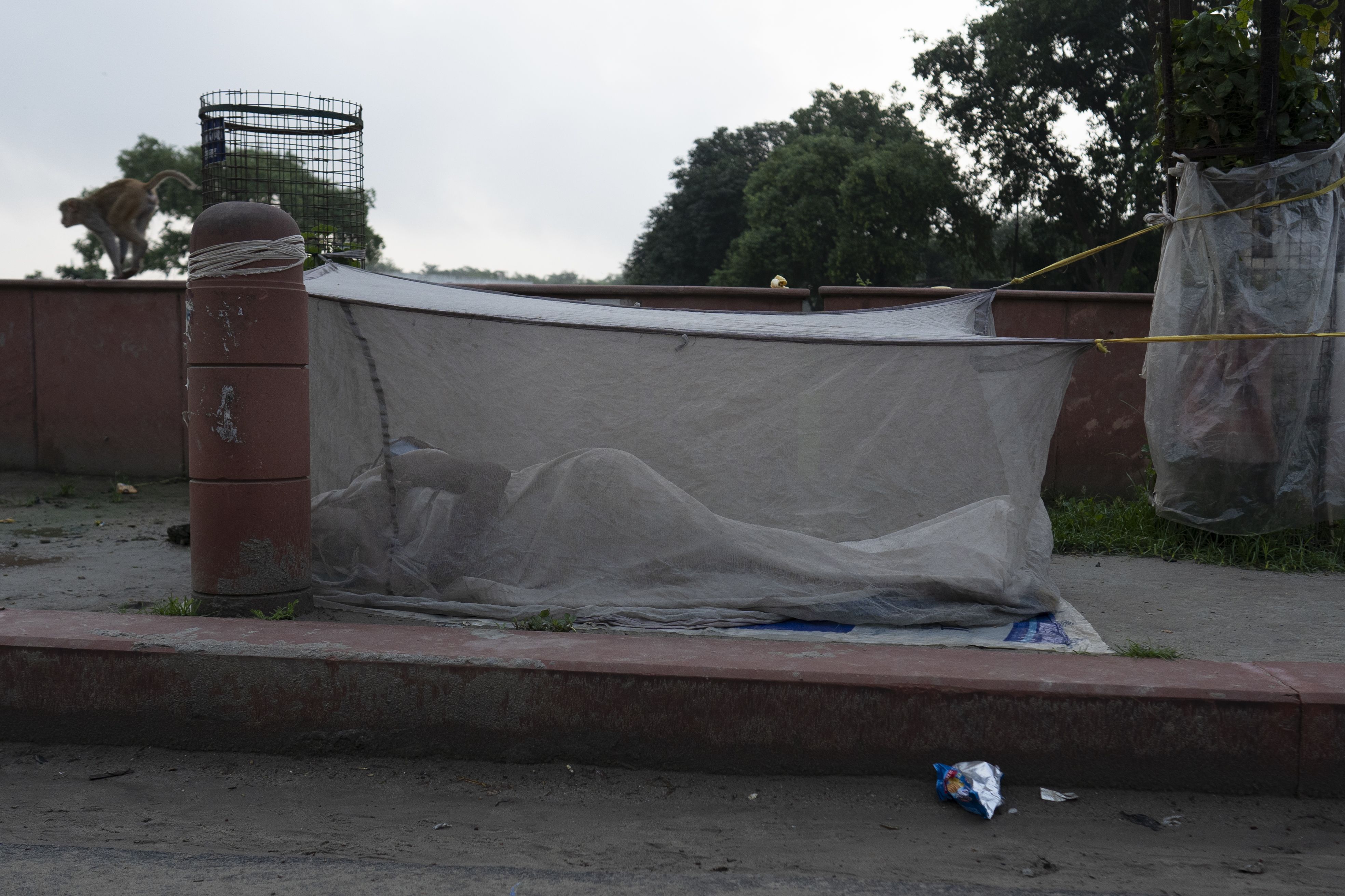 A woman sleeping on the streets of Vrindavan with just a mosquito net for protection.